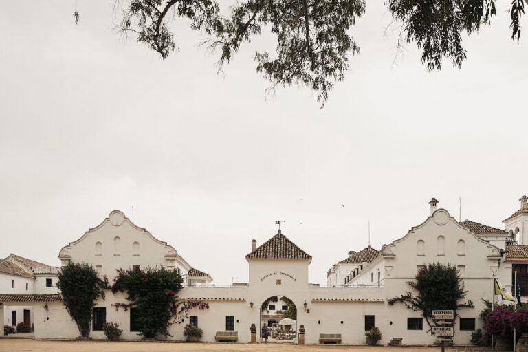 Jardín Adoquín Interior en Sevilla: jardín, interior, para eventos por horas, foto 1